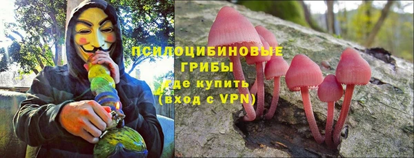 ALPHA-PVP Вяземский