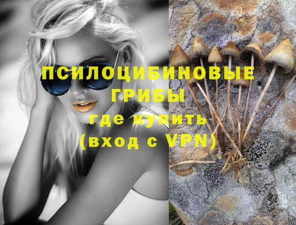 ALPHA-PVP Вяземский